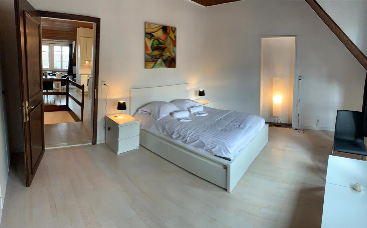 Luxury Duplex Vue Chateau Невшатель Екстер'єр фото