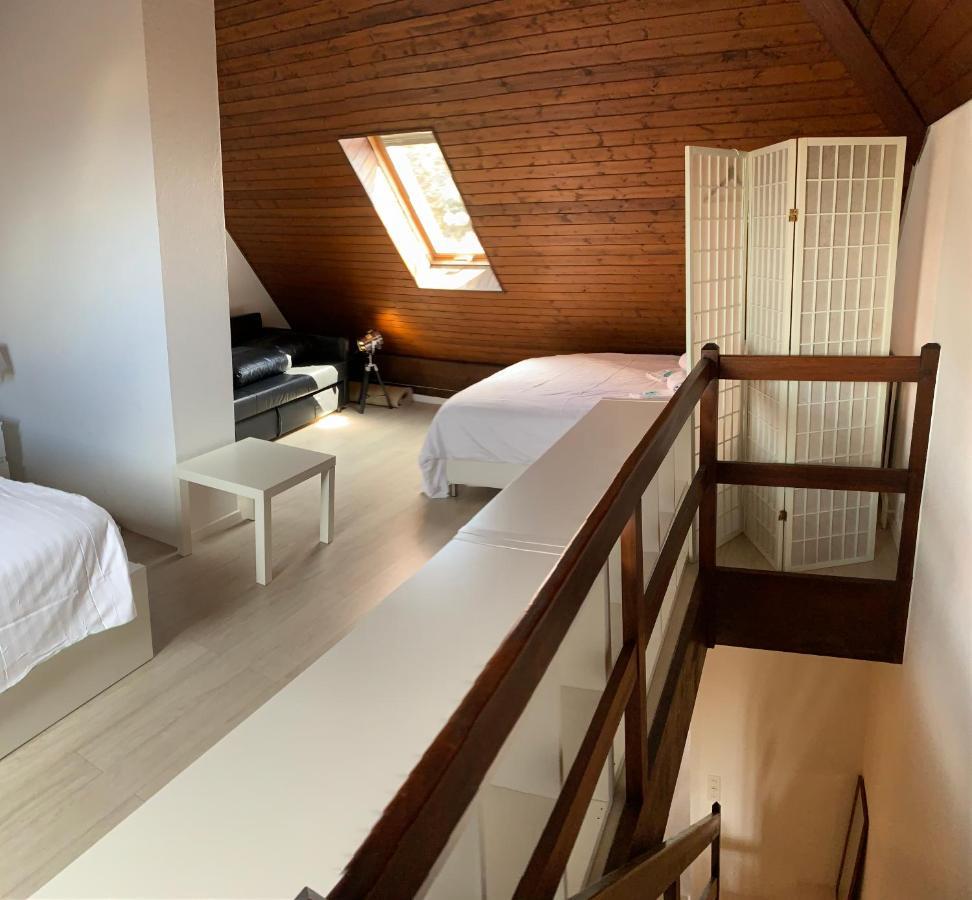Luxury Duplex Vue Chateau Невшатель Екстер'єр фото