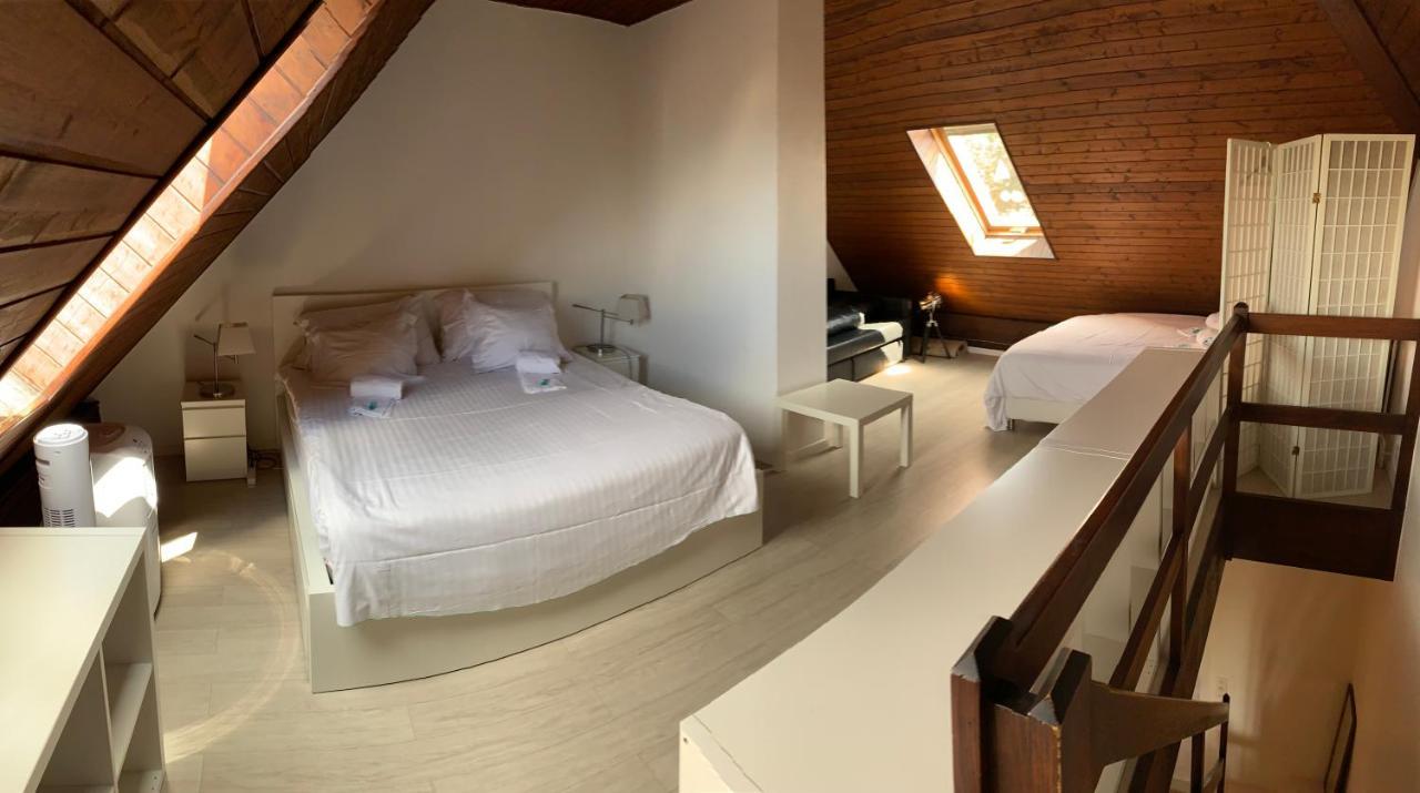 Luxury Duplex Vue Chateau Невшатель Екстер'єр фото